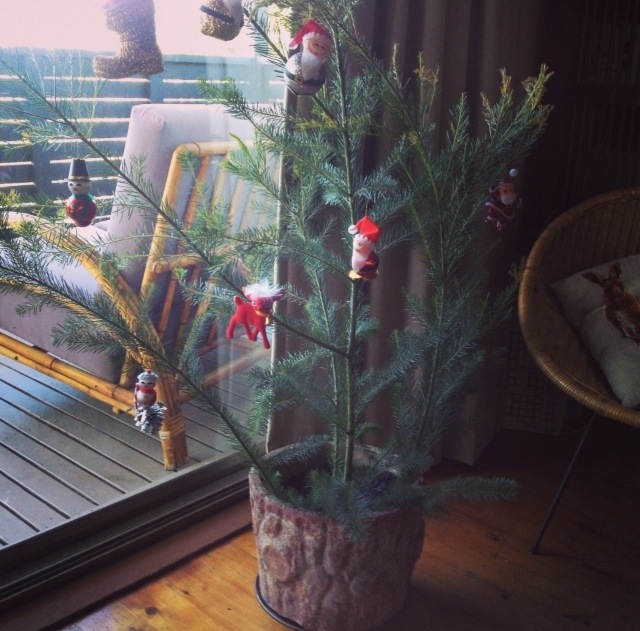 Christmas Tree from the garden in a Fifties Concrete Tree Trunk Pot